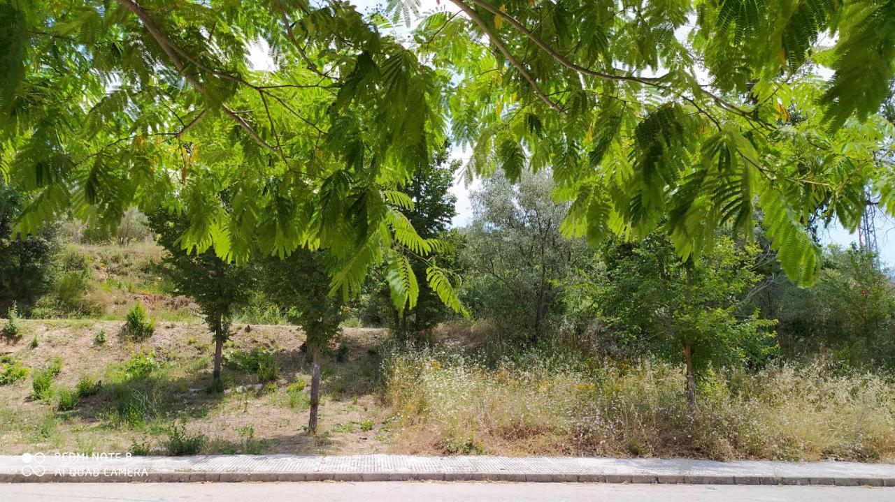 Casa Rural El Cerrete 2 Riopar Bagian luar foto