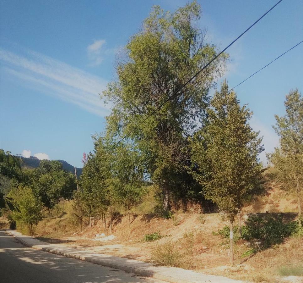 Casa Rural El Cerrete 2 Riopar Bagian luar foto